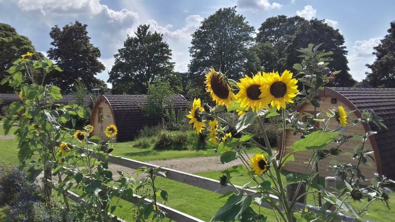 Mallow Glamping Pod Cheltenham Exterior photo